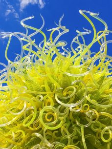 Creative Glass Sculpture Dale Chihuly