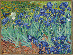 Vincent van Gogh Art irises