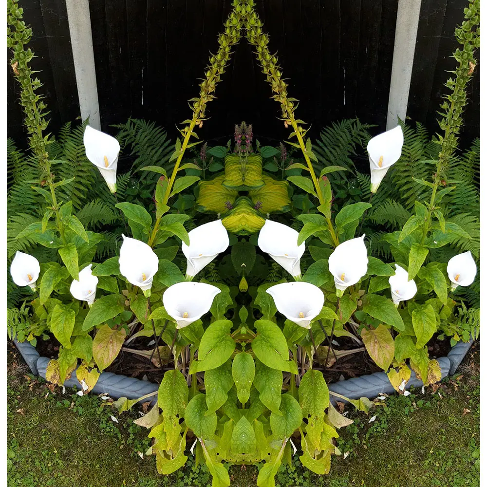 Ceramic Flowers ‘Lilies’ by Renee Kilburn - Image 2