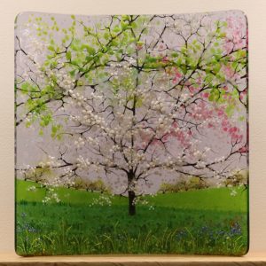 Fused Glass Panels
