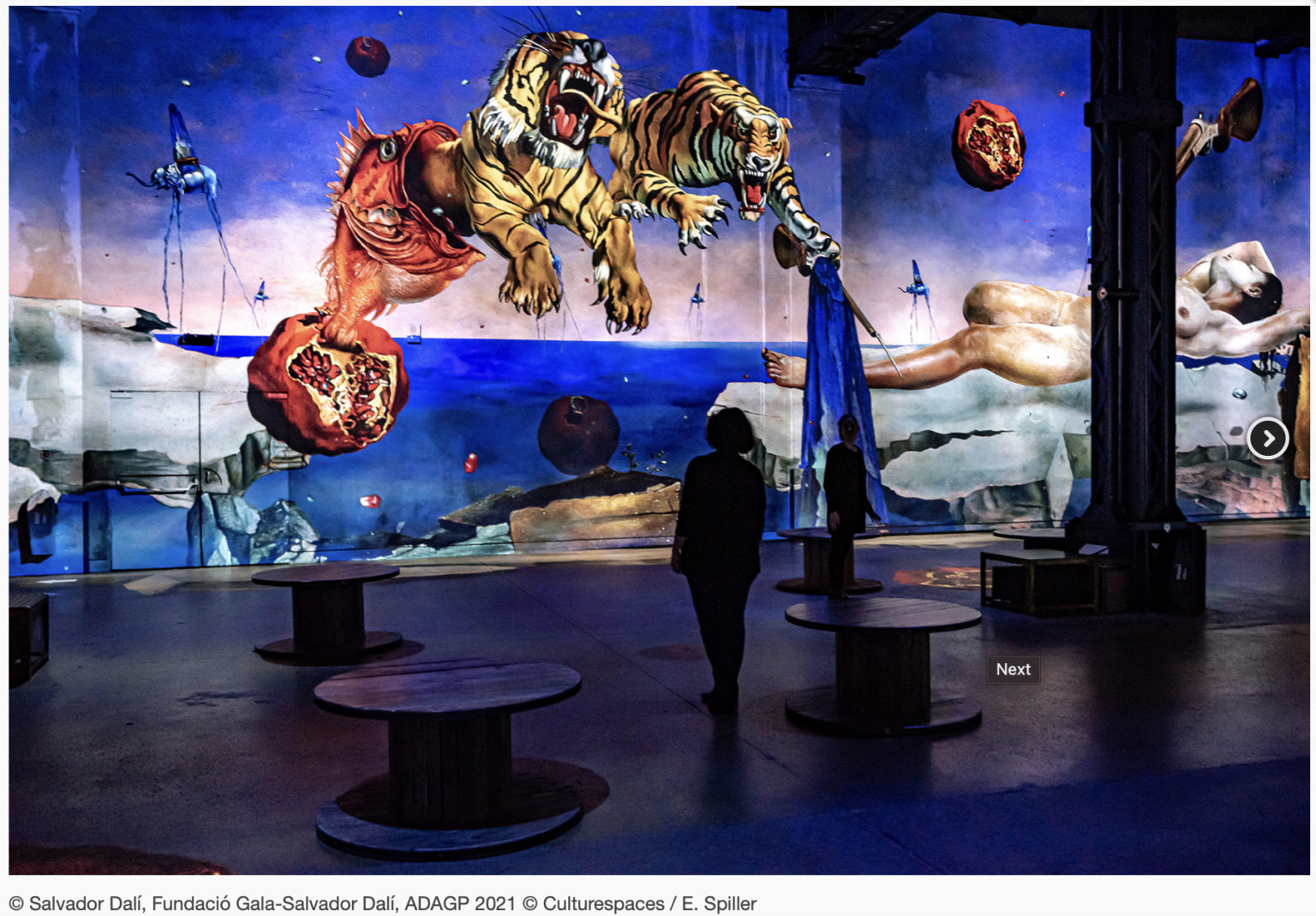 The Immersive Art Experience Top idea.Design