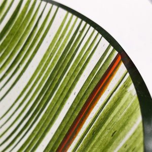 Striped Glass Vessel