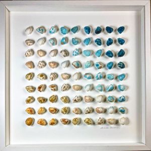 Seashell Wall Art