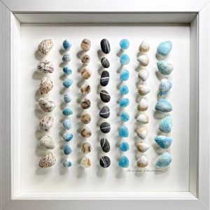 Seashell Art