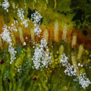 Fused Glass Artistry