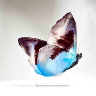 Glass Butterfly
