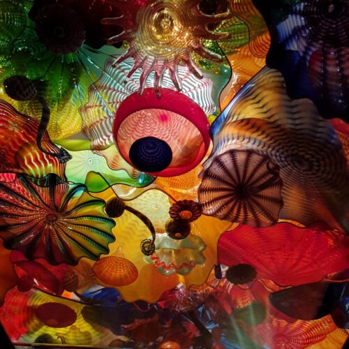 Dale Chihuly Glass