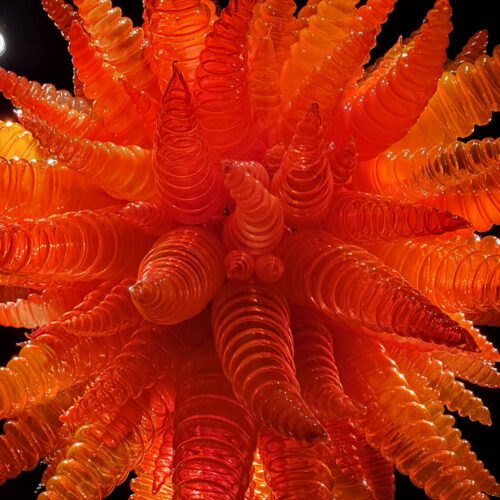 Dale Chihuly Glass