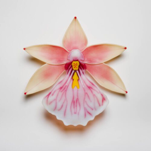 Glass Orchid Sculpture Laura Hart Glass Artist