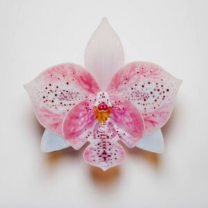 Pink Glass Orchid Sculpture Laura Hart Glass Artist