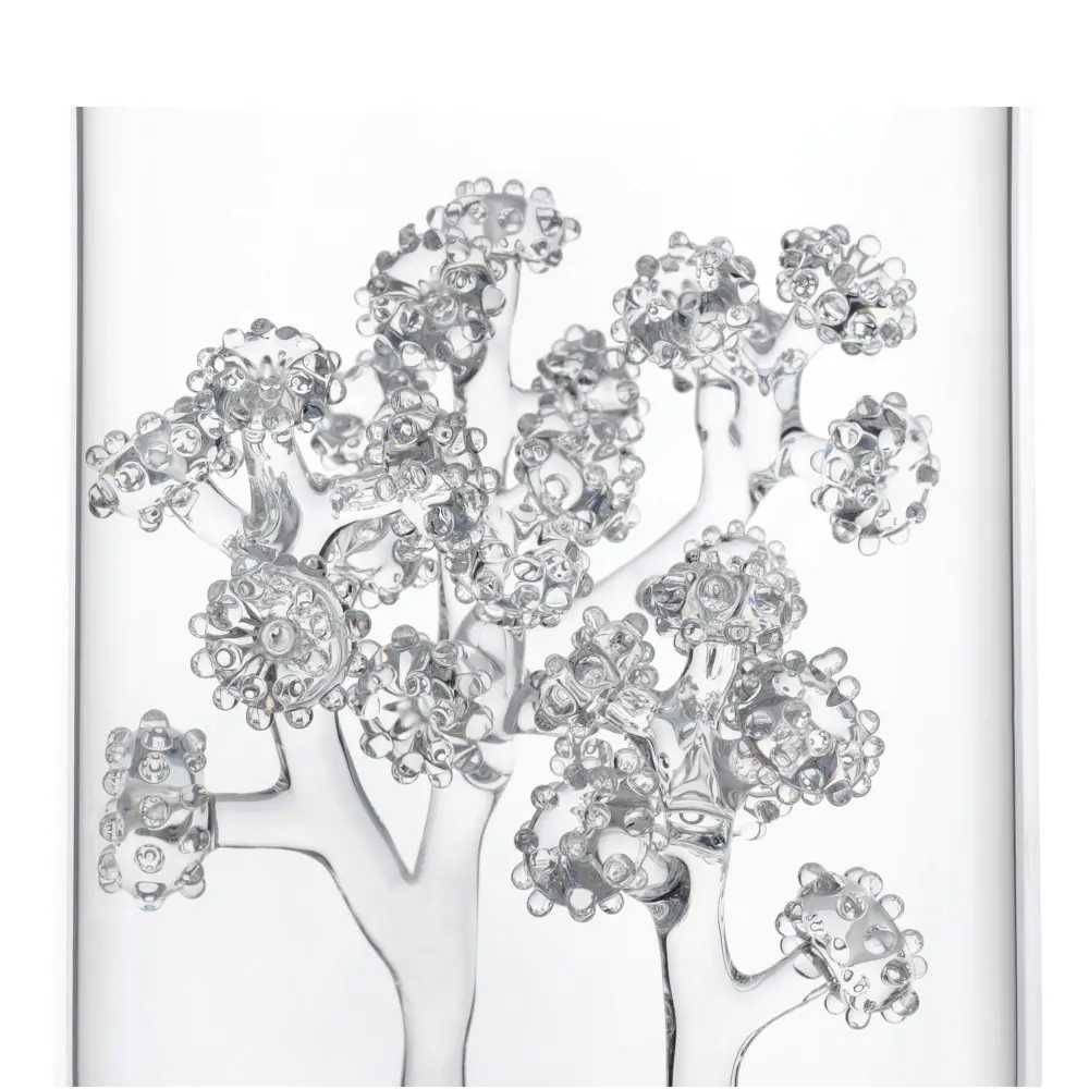 Clear Glass Coral Vessel by Elena Fleury Rojo