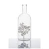 Sandblasted Glass Coral Bottle by Elena Fleury Rojo Glass