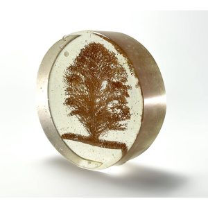 Clear Glass Disc Helen Slater Glass Artist