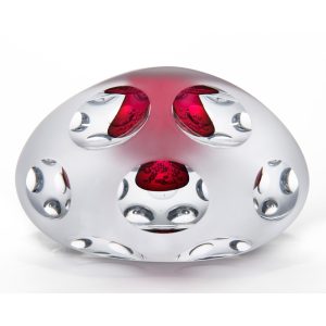 Carved Glass Art 'Life Cycle' by Steve Frey Glass