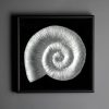 Fossil Sculpture 'Ammonite' by Jaroslav Prošek