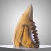 Home Sculpture 'Shark Tooth III' Jaroslav Prošek Glass Artist