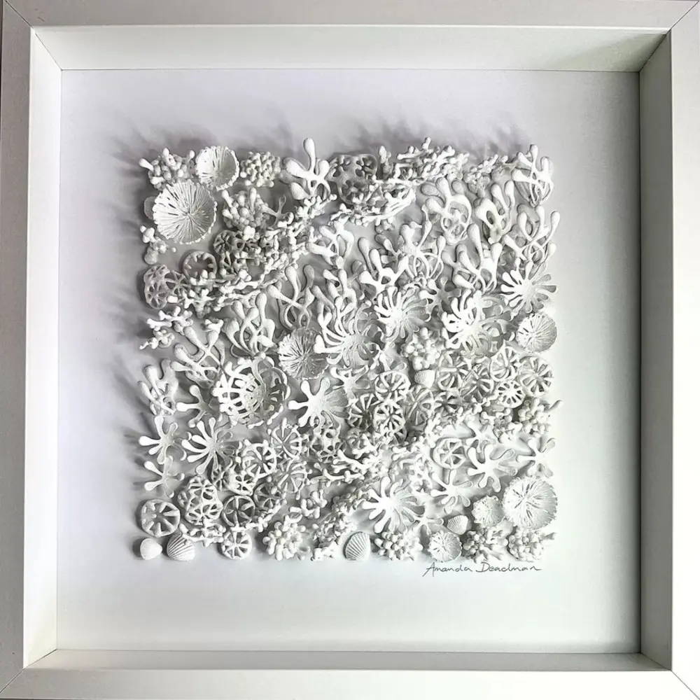 White Wall Art by Amanda Deadman